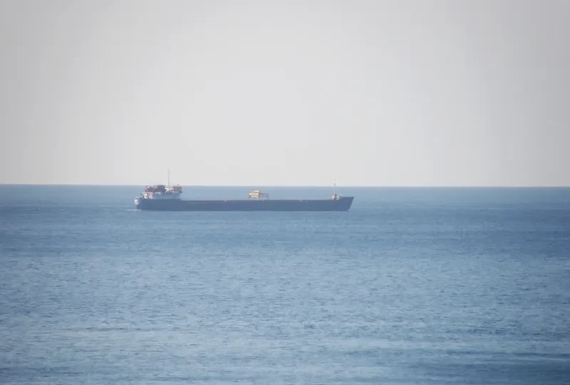 VEGA General Cargo IMO 8744224 photo 8