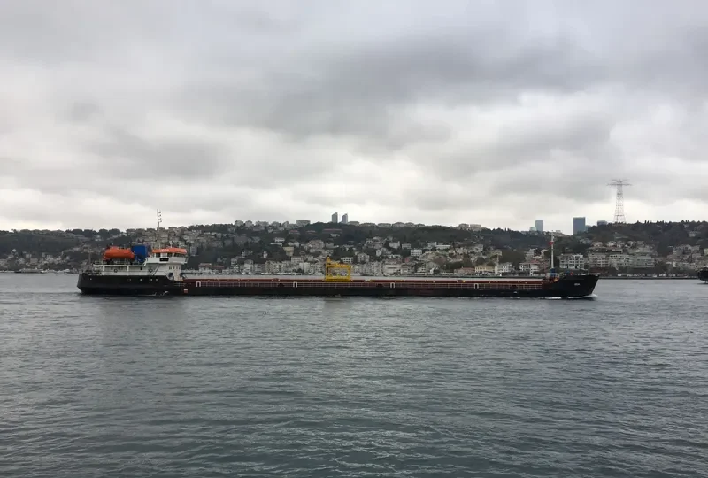 VEGA General Cargo IMO 8744224 photo 9