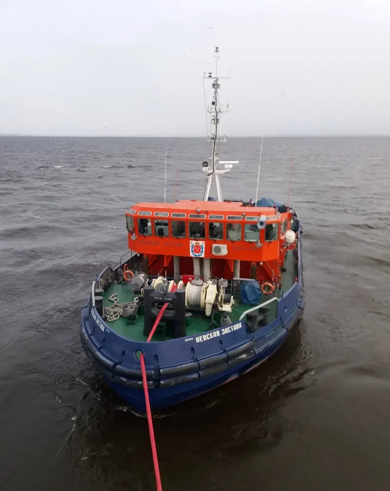 NEVSKAYA ZASTAVA General Cargo IMO 8747123 photo 7