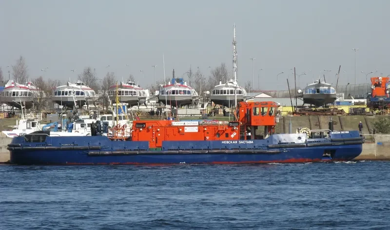 NEVSKAYA ZASTAVA General Cargo IMO 8747123 photo 9