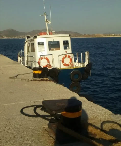 PSYTALIA II Ro-Ro IMO 8748476 photo 3