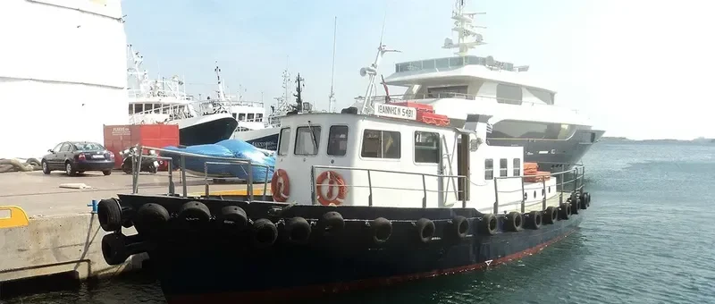 PSYTALIA II Ro-Ro IMO 8748476 photo 6