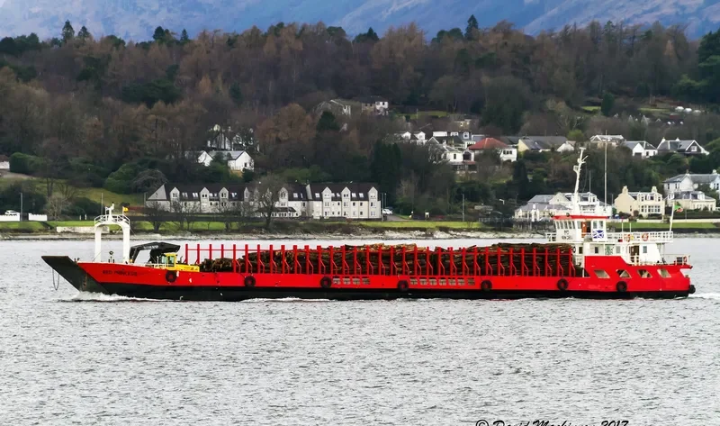RED PRINCESS Bulk Carrier IMO 8748828