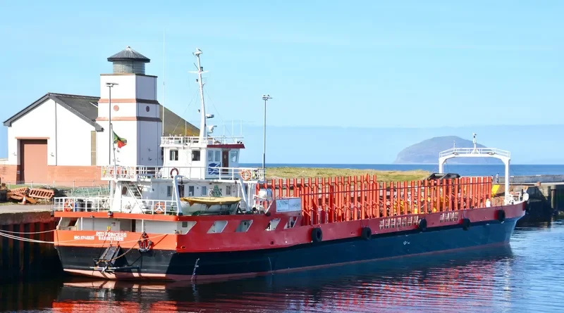 RED PRINCESS Bulk Carrier IMO 8748828 photo 2