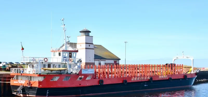 RED PRINCESS Bulk Carrier IMO 8748828 photo 3