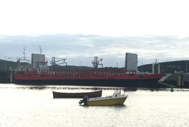 RED PRINCESS Bulk Carrier IMO 8748828 photo 6