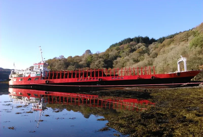 RED PRINCESS Bulk Carrier IMO 8748828 photo 7