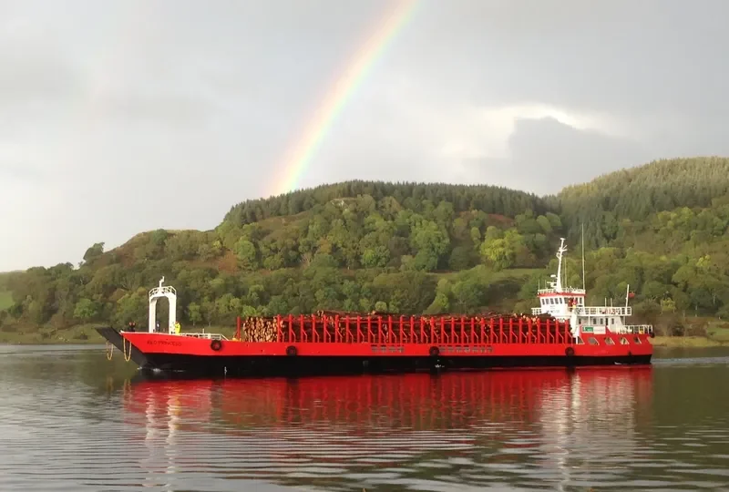RED PRINCESS Bulk Carrier IMO 8748828 photo 8
