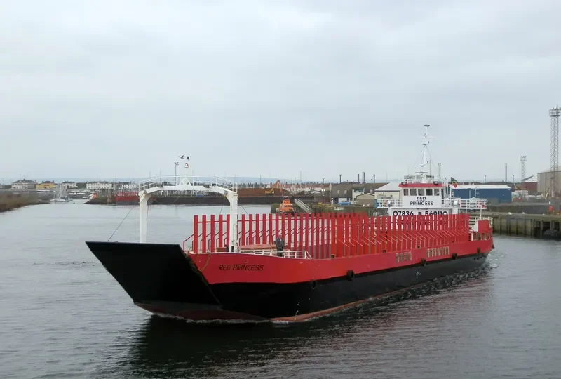 RED PRINCESS Bulk Carrier IMO 8748828 photo 9