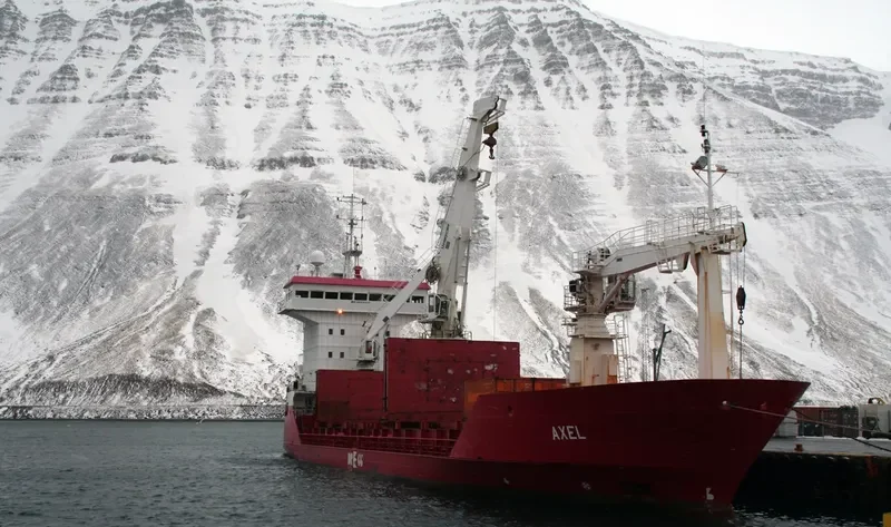 EL NINO General Cargo IMO 8800133 photo 2