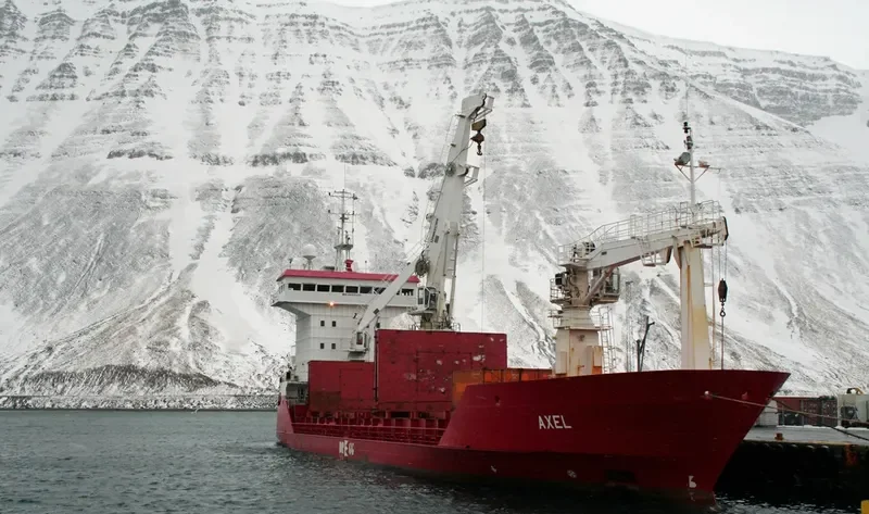 EL NINO General Cargo IMO 8800133 photo 4