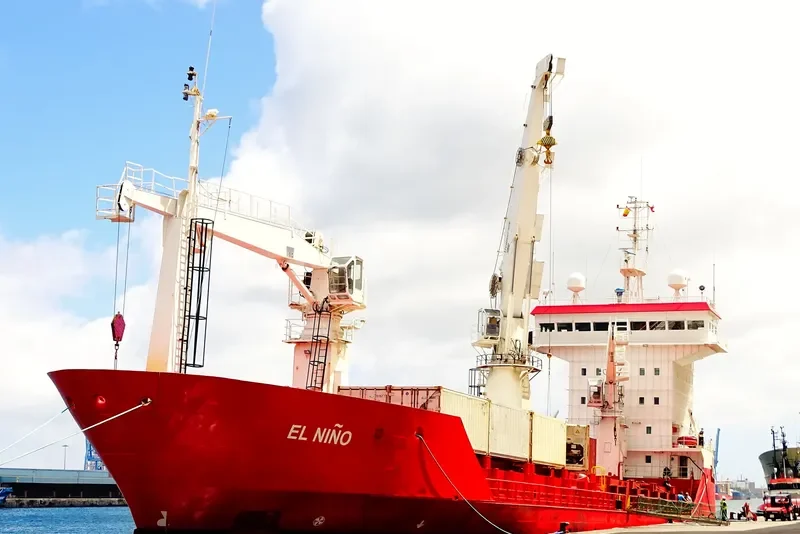 EL NINO General Cargo IMO 8800133 photo 5