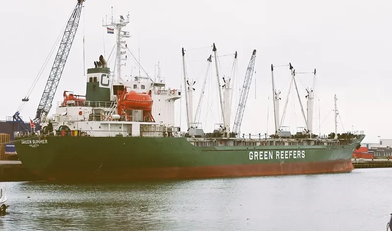 GREEN CAPE General Cargo IMO 8800224