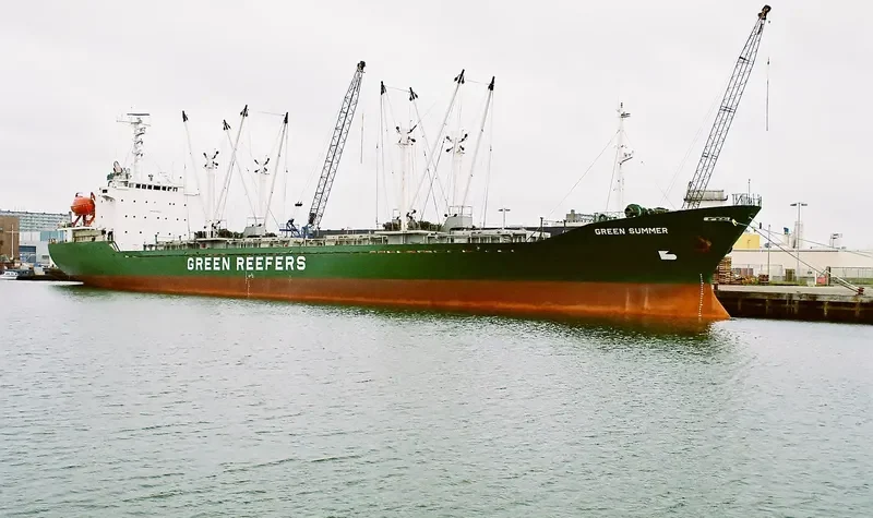 GREEN CAPE General Cargo IMO 8800224 photo 2