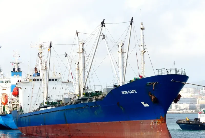 GREEN CAPE General Cargo IMO 8800224 photo 8