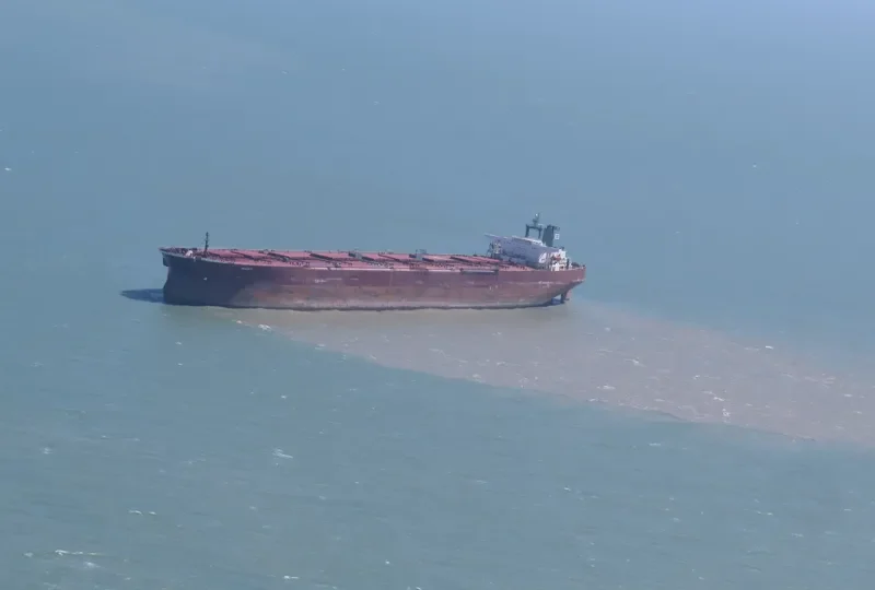PHYLLIS N Bulk Carrier IMO 8800274