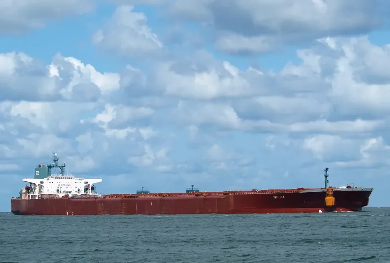 PHYLLIS N Bulk Carrier IMO 8800274 photo 5