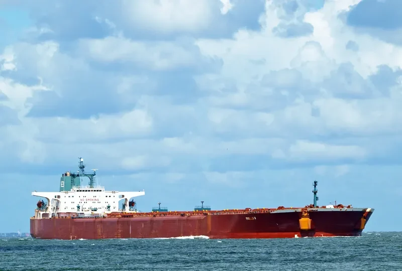PHYLLIS N Bulk Carrier IMO 8800274 photo 6