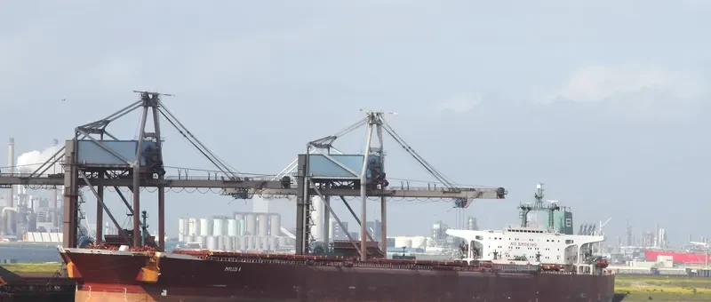 PHYLLIS N Bulk Carrier IMO 8800274 photo 7