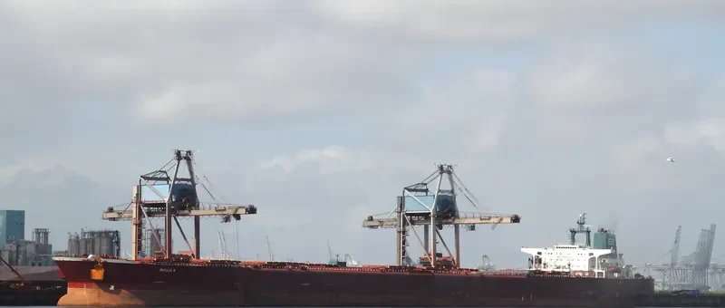 PHYLLIS N Bulk Carrier IMO 8800274 photo 8