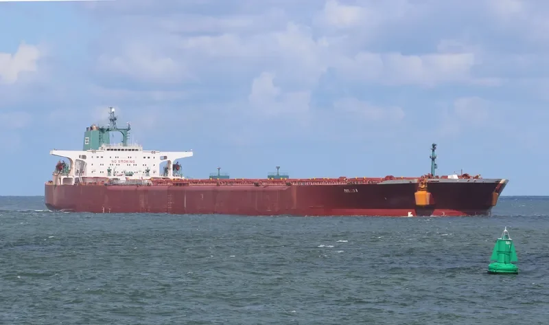 PHYLLIS N Bulk Carrier IMO 8800274 photo 10