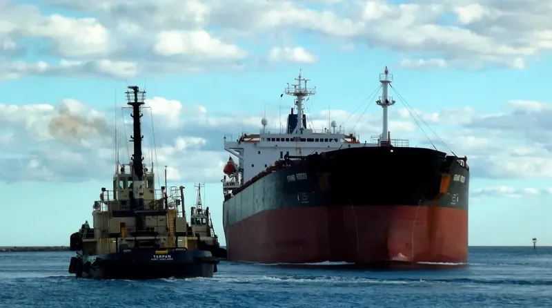 GRAND RODOSI Bulk Carrier IMO 8800327 photo 2