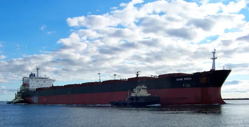 GRAND RODOSI Bulk Carrier IMO 8800327 photo 3