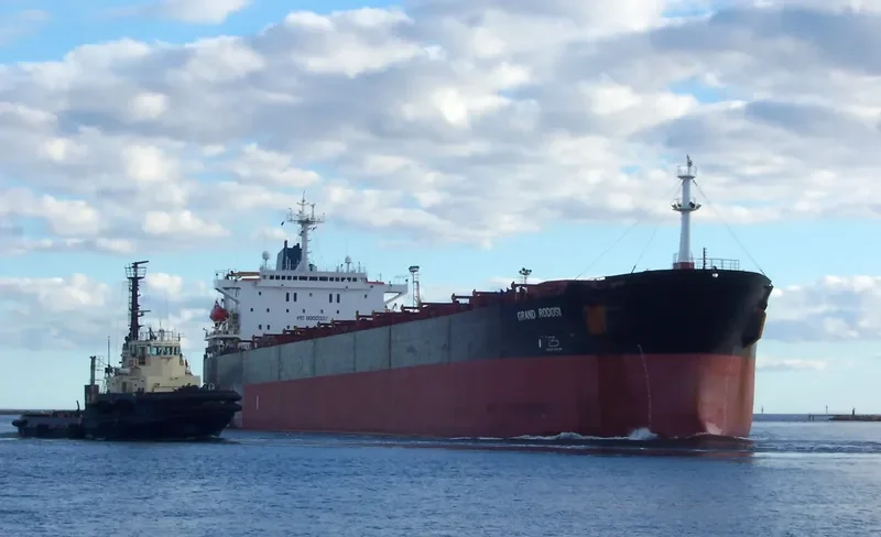 GRAND RODOSI Bulk Carrier IMO 8800327 photo 5