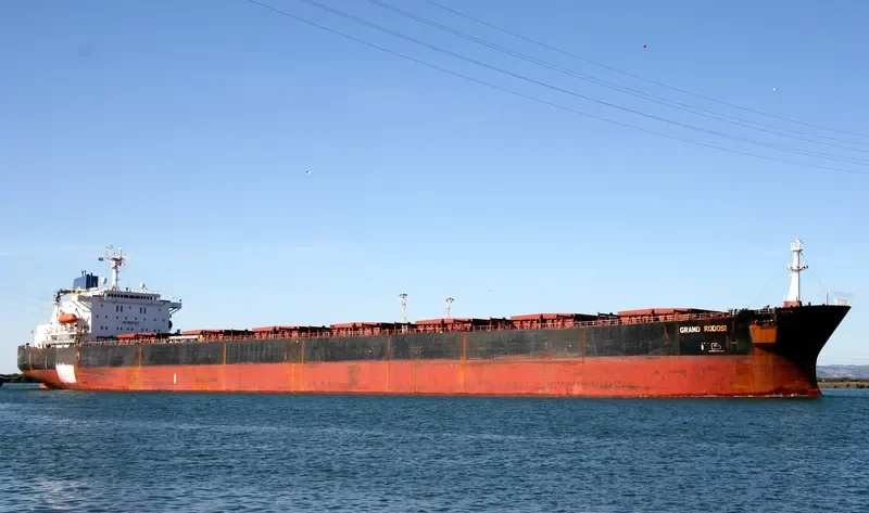 GRAND RODOSI Bulk Carrier IMO 8800327 photo 6