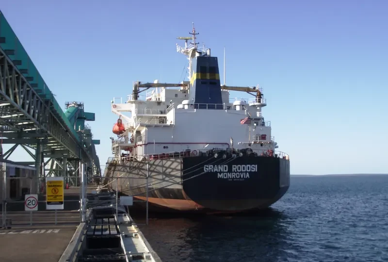 GRAND RODOSI Bulk Carrier IMO 8800327 photo 7