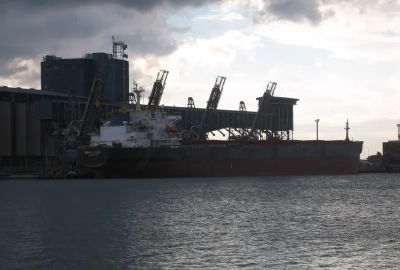 GRAND RODOSI Bulk Carrier IMO 8800327 photo 8