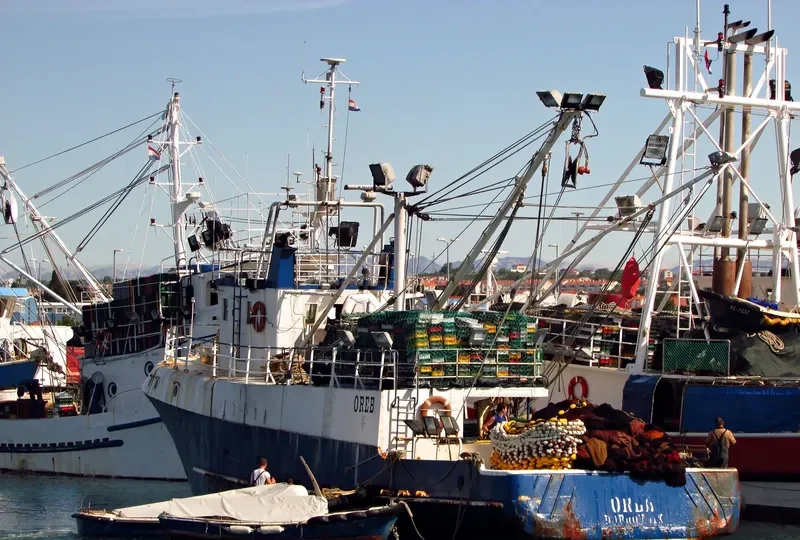 OREB General Cargo IMO 8800858 photo 5