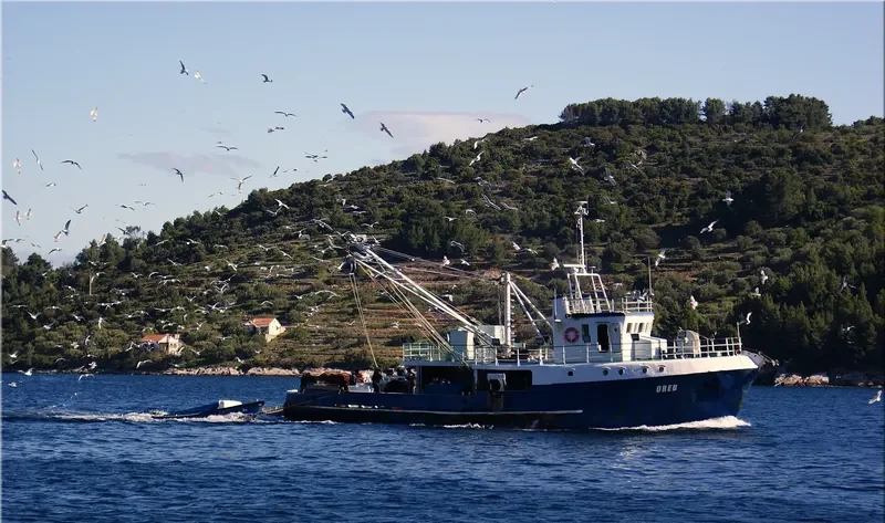 OREB General Cargo IMO 8800858 photo 9