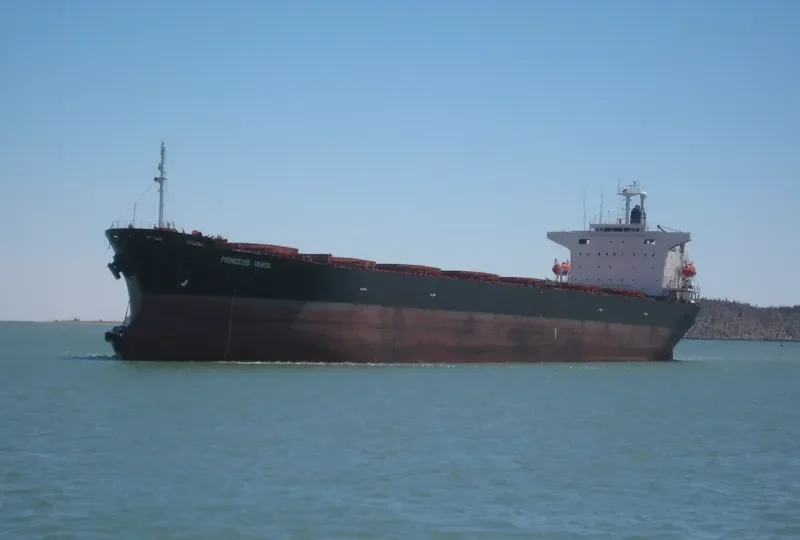 PRINCESS VANYA Bulk Carrier IMO 8801008