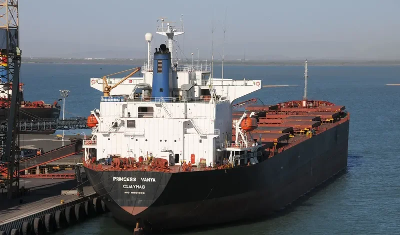PRINCESS VANYA Bulk Carrier IMO 8801008 photo 3