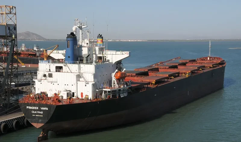 PRINCESS VANYA Bulk Carrier IMO 8801008 photo 4
