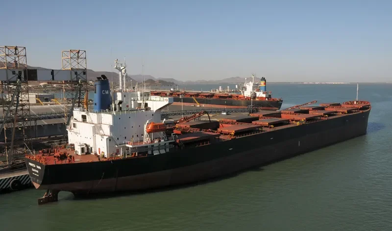 PRINCESS VANYA Bulk Carrier IMO 8801008 photo 5