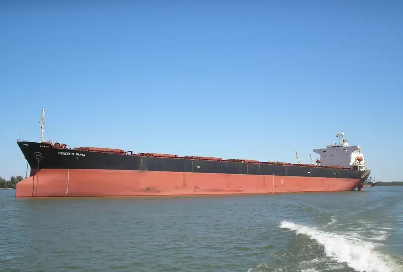 PRINCESS VANYA Bulk Carrier IMO 8801008 photo 6