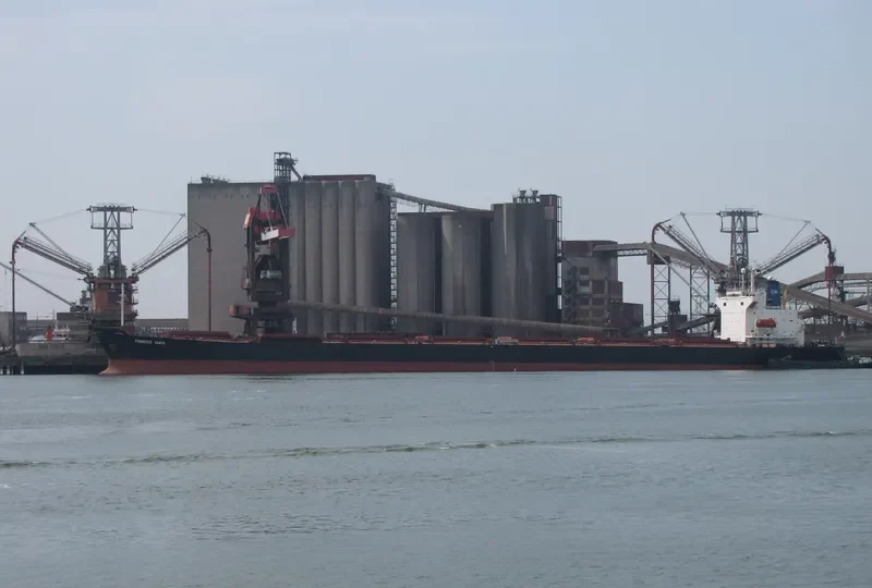 PRINCESS VANYA Bulk Carrier IMO 8801008 photo 7