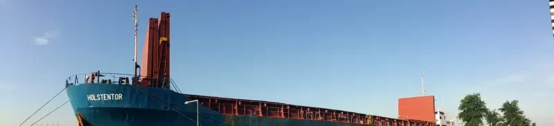 SALAR General Cargo IMO 8801125 photo 7