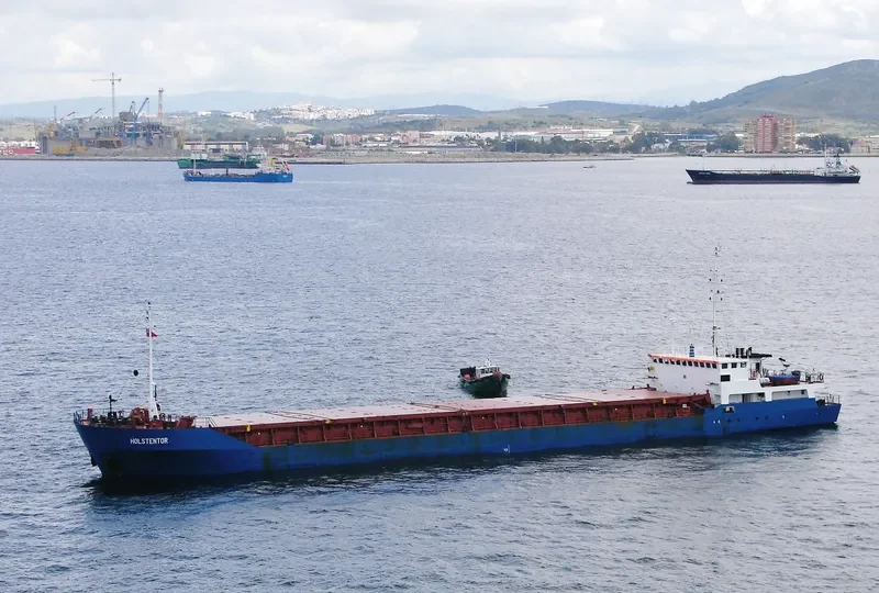 SALAR General Cargo IMO 8801125 photo 9
