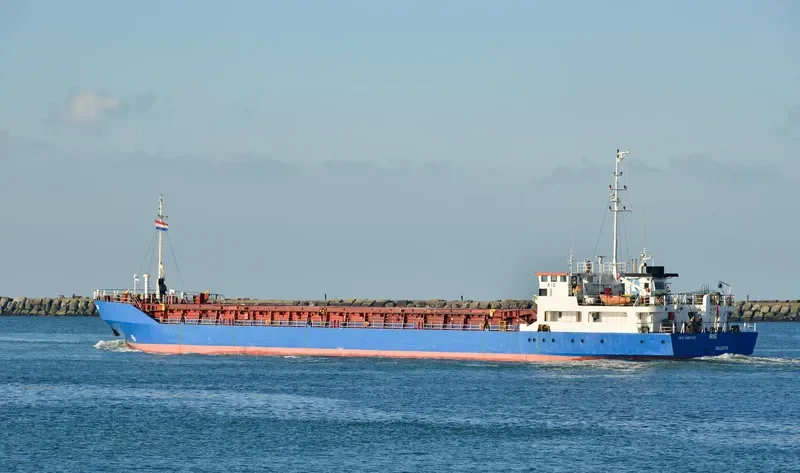 RIG Container Ship IMO 8801137 photo 2