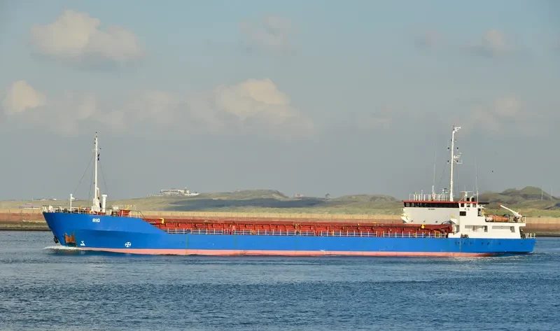 RIG Container Ship IMO 8801137 photo 3