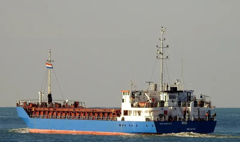 RIG Container Ship IMO 8801137 photo 4