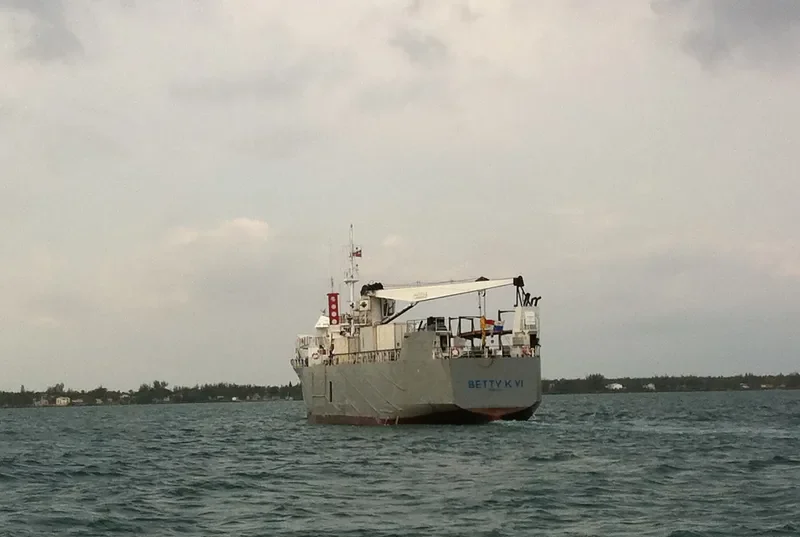 BETTY K VI General Cargo IMO 8801216