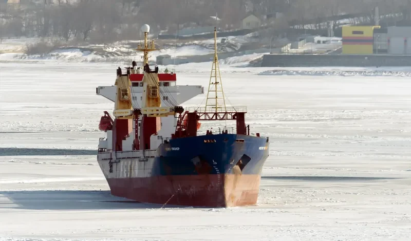 FESCO PIONER General Cargo IMO 8801606 photo 2