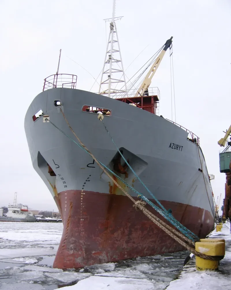 FESCO PIONER General Cargo IMO 8801606 photo 9