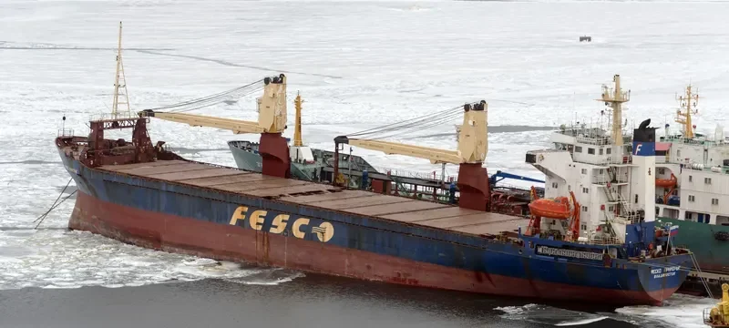 BILIBINO General Cargo IMO 8801632 photo 5