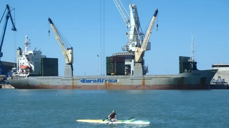 BILIBINO General Cargo IMO 8801632 photo 10