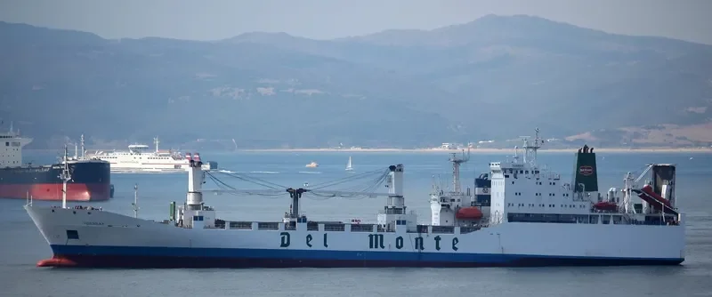 HORNBAY General Cargo IMO 8802002